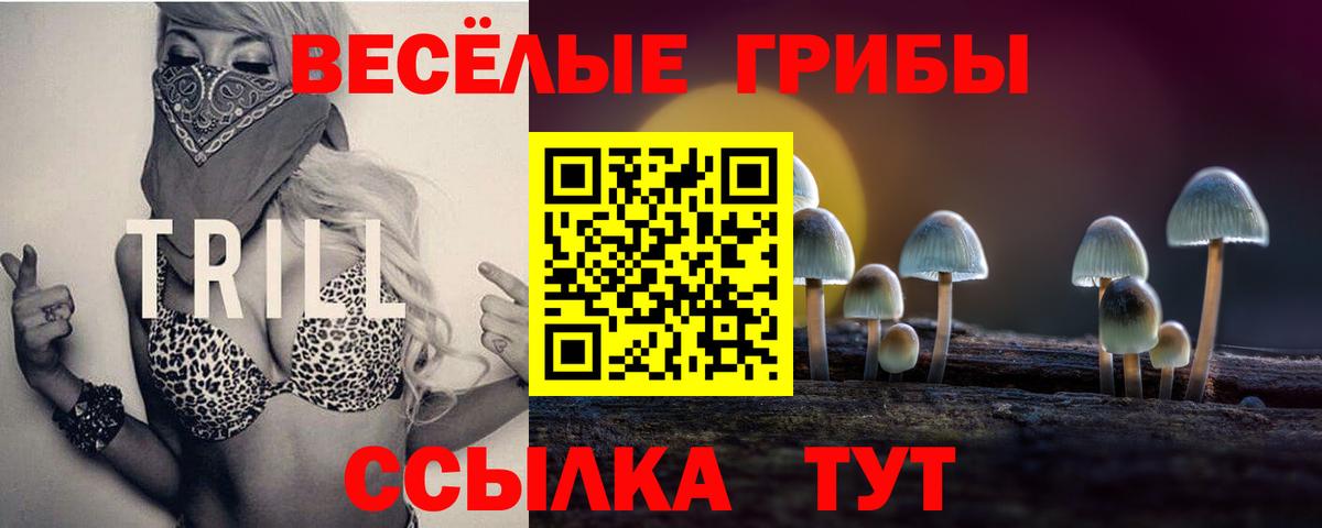 Краснодар  Галлюциногенные грибы Magic Shrooms  Вход с VPN  Галлюциногенные грибы Psilocybe 